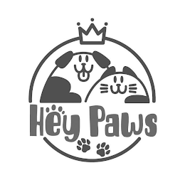 HEY PAWS
