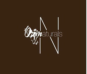 ORIJIN NATURALS