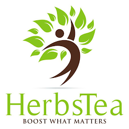 HERBSTEA BOOST WHAT MATTERS