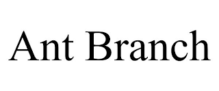ANT BRANCH