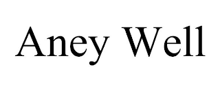 ANEY WELL