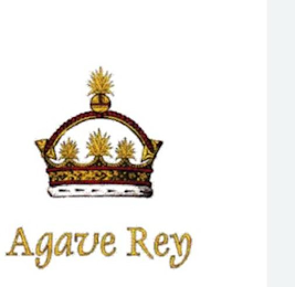 AGAVE REY