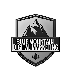 BLUE MOUNTAIN DIGITAL MARKETING