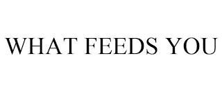 WHAT FEEDS YOU