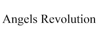 ANGELS REVOLUTION