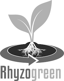 RHYZOGREEN