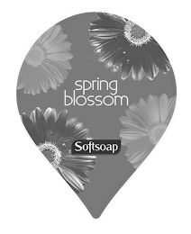 SPRING BLOSSOM SOFTSOAP