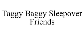 TAGGY BAGGY SLEEPOVER FRIENDS