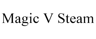 MAGIC V STEAM