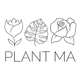 PLANT MA