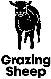 GRAZING SHEEP