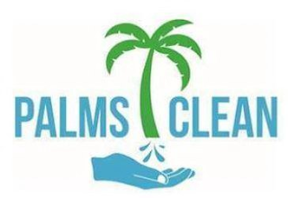 PALMS CLEAN