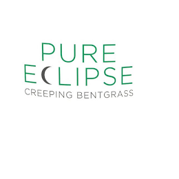 PURE ECLIPSE CREEPING BENTGRASS