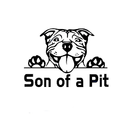 SON OF A PIT