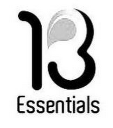 13 ESSENTIALS