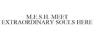 M.E.S.H. MEET EXTRAORDINARY SOULS HERE