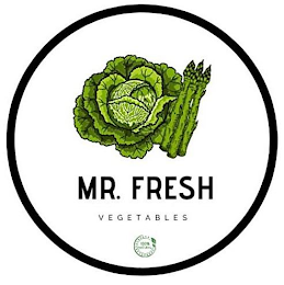 MR. FRESH VEGETABLES