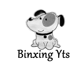 BINXING YTS