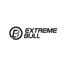 B EXTREME BULL