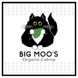 BIG MOO'S ORGANIC CATNIP