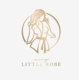 SEXY LITTLE ROBE