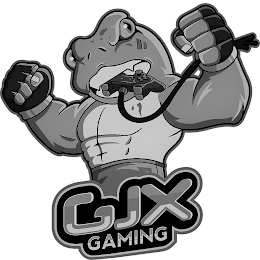 GJX GAMING