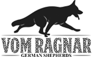 VOM RAGNAR GERMAN SHEPHERDS