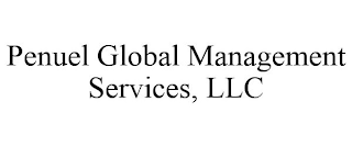 PENUEL GLOBAL MANAGEMENT SERVICES, LLC
