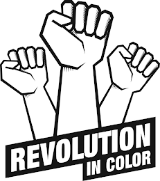 REVOLUTION IN COLOR