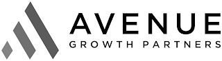 AVENUE GROWTH PARTNERS