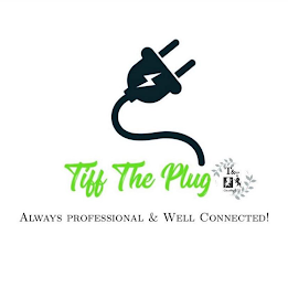 TIFF THE PLUG T & T CONSULTING LLC ALWAYS PROFESSIONAL AND WELL CONNECTED!