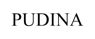 PUDINA