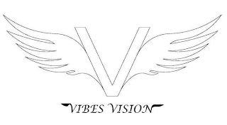 V VIBES VISION