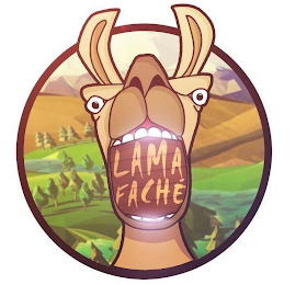 LAMA FACHÉ