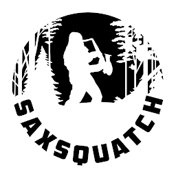 SAXSQUATCH