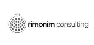 RIMONIM CONSULTING