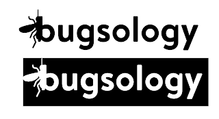 BUGSOLOGY