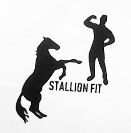 STALLION FIT