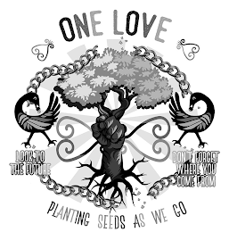 ONE LOVE LOOK TO THE FUTURE DON'T FORGET WHERE YOU COME FROM PLANTING SEEDS AS WE GO