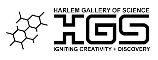 HARLEM GALLERY OF SCIENCE HGS IGNITING CREATIVITY + DISCOVERY