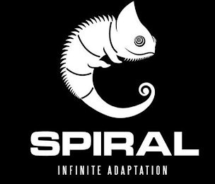 SPIRAL INFINITE ADAPTATION