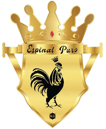 ESPINAL PURO R.D