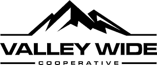 VALLEY WIDE COOPERATIVE