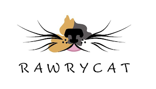 RAWRYCAT