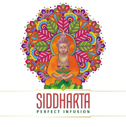 SIDDHARTA PERFECT INFUSION