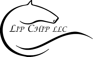 LIP CHIP LLC