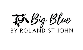 BIG BLUE BY ROLAND ST JOHN