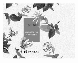 L'ESSENCE MADRESELVA SILVESTRE YANBAL