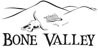 BONE VALLEY