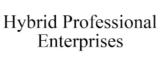 HYBRID PROFESSIONAL ENTERPRISES